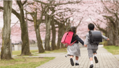 邻接长安书院、世博园、奥体核心等浩繁